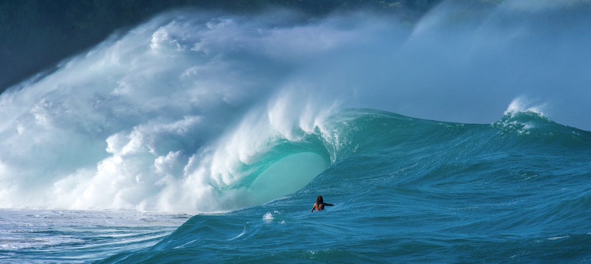 Best Wave Watching On The North Shore Oahu Hi