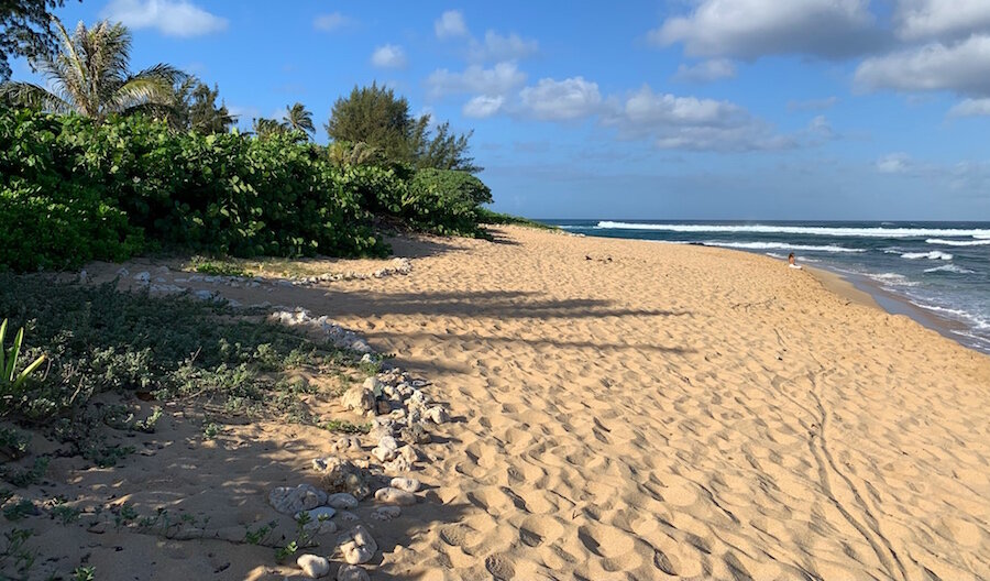 Beachcombing North Shore Oahu